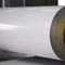 AA3005 1,00 mm spessore colore marrone anti-graffi bobina di alluminio preverniciata con vernice protettiva per porte e finestre