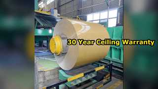 Lastre per controsoffitto in alluminio durevole 30 anni di garanzia