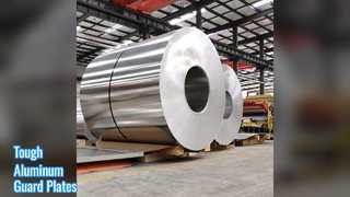 Protezione del trasportatore a piastre in alluminio resistente da 2,0 mm